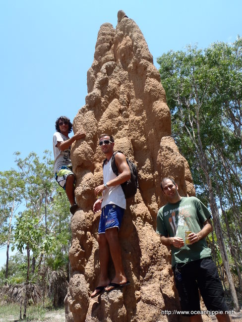 Thumbnail Photo